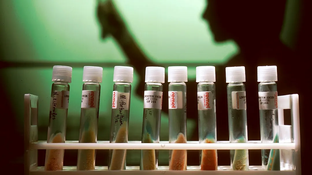 a row of test tubes filled with different colored liquids