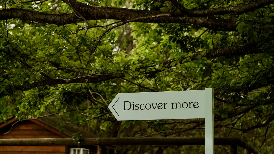 a sign that says discovery more under a tree