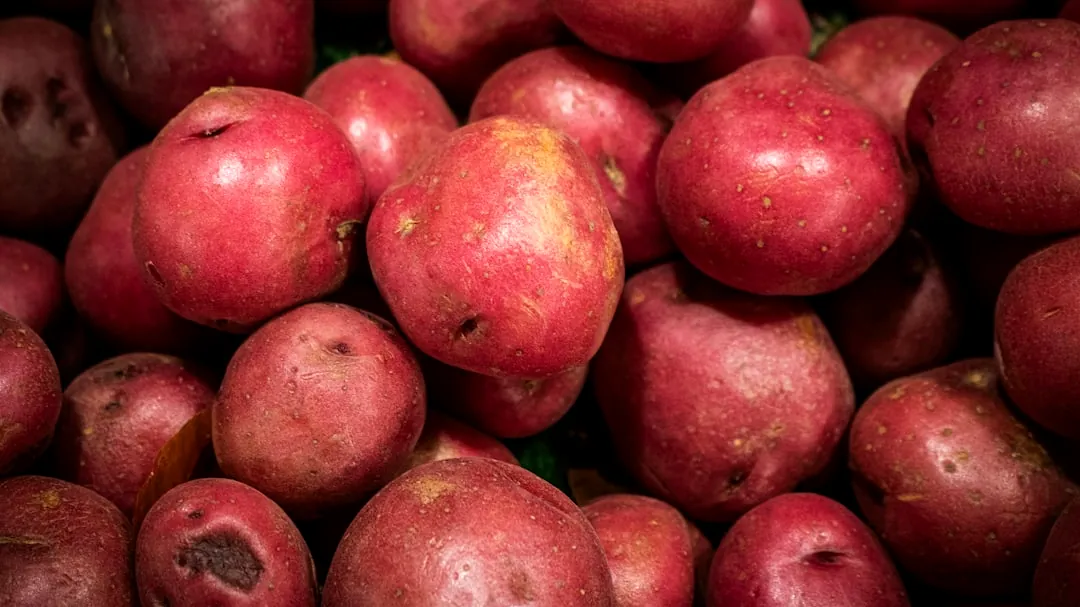 Fresh red potatoes are piled together for sale.