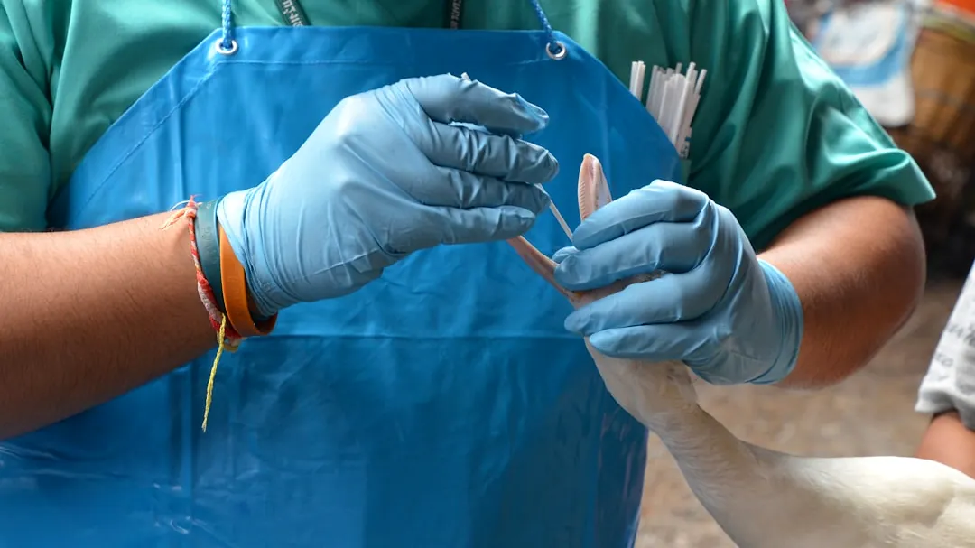 person in blue jacket holding blue textile